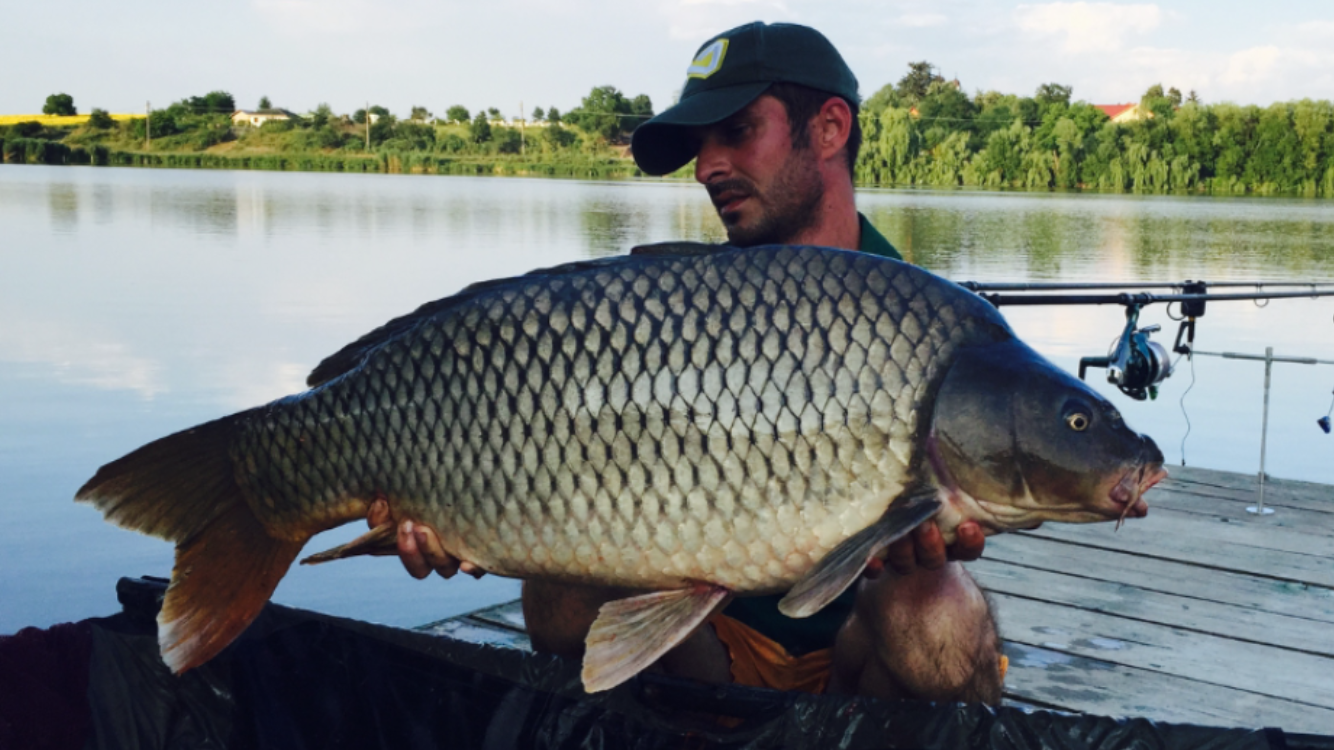 Moara Vlasiei 2 \ 1 - 2 iulie 2015 - img1837.PNG